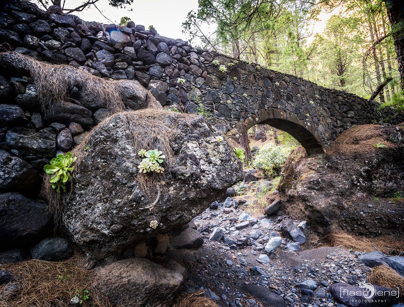 ErkundungsReise La Palma 012