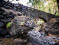 ErkundungsReise La Palma 012