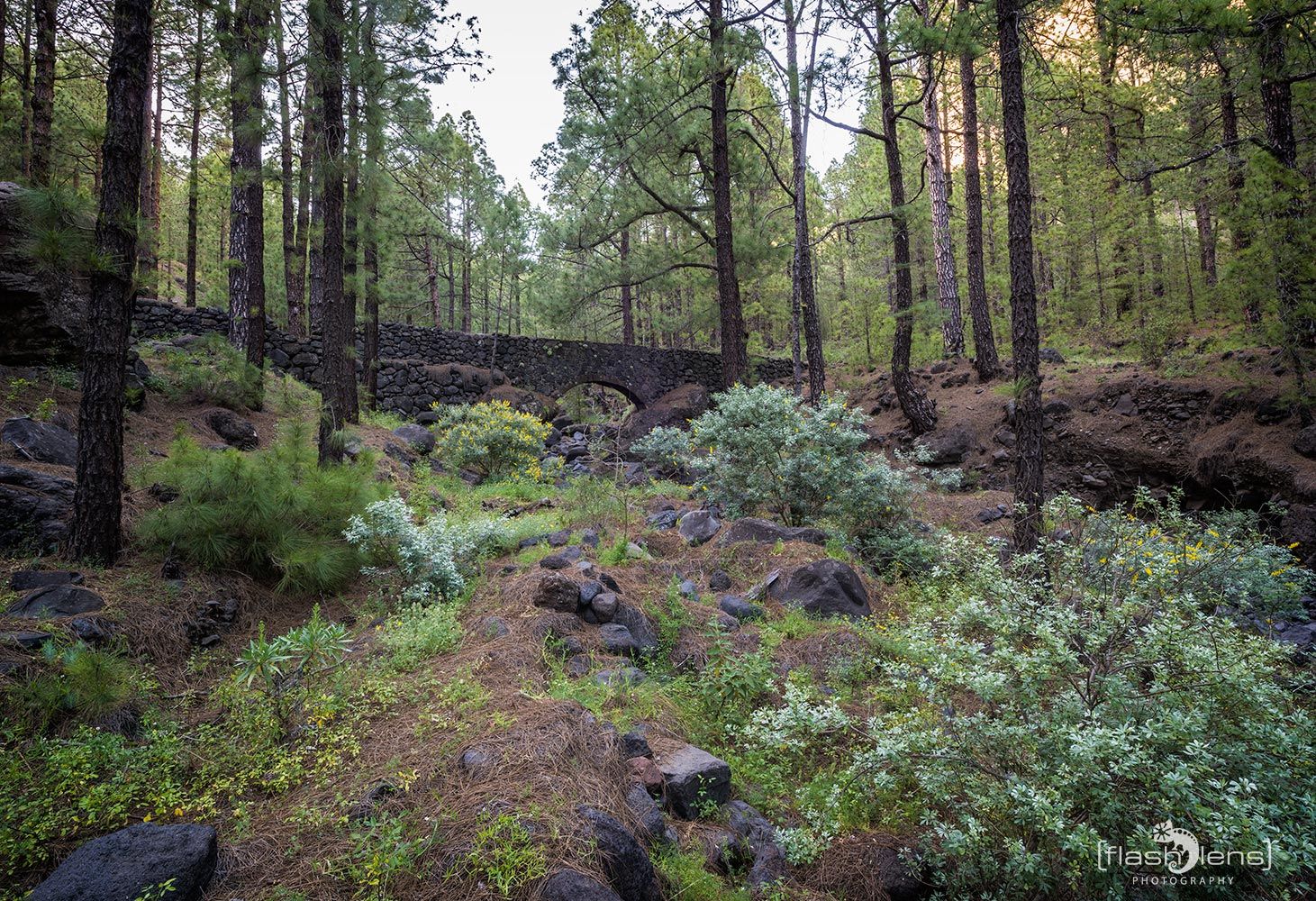 ErkundungsReise La Palma 014