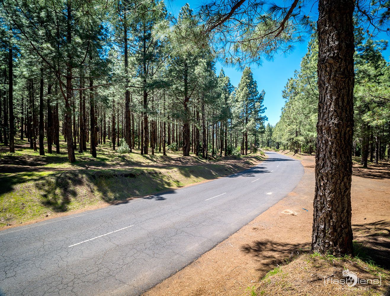 ErkundungsReise La Palma 016