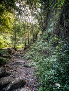 ErkundungsReise La Palma 018