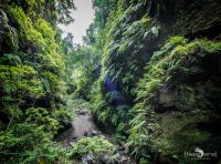 ErkundungsReise La Palma 022