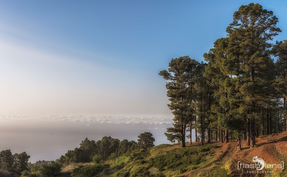 ErkundungsReise La Palma 024