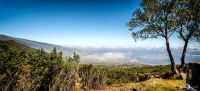 ErkundungsReise La Palma 025