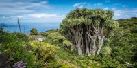 ErkundungsReise La Palma 027
