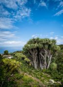 ErkundungsReise La Palma 028