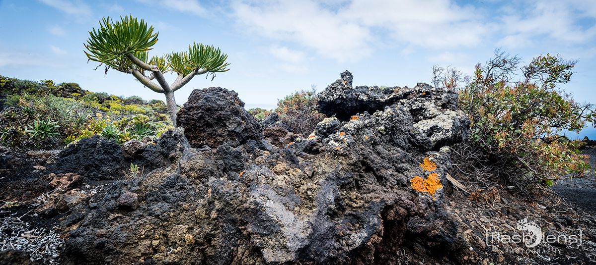 ErkundungsReise La Palma 042