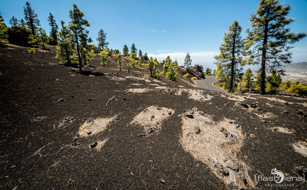 ErkundungsReise La Palma 043