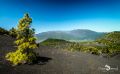 ErkundungsReise La Palma 044