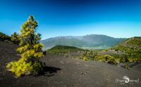 ErkundungsReise La Palma 044