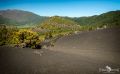 ErkundungsReise La Palma 045