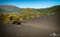 ErkundungsReise La Palma 045