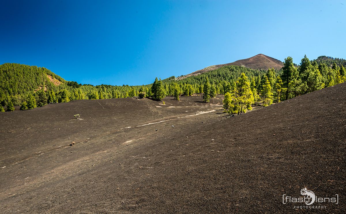 ErkundungsReise La Palma 046