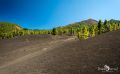 ErkundungsReise La Palma 046