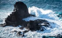 ErkundungsReise La Palma 049