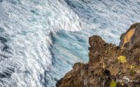 ErkundungsReise La Palma 052