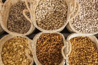 03 Um Kloster Lluc 014