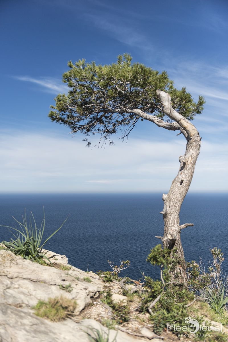 FotoReise Mallorca 2015 004