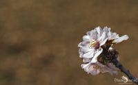 FotoReise Mallorca 2015 008