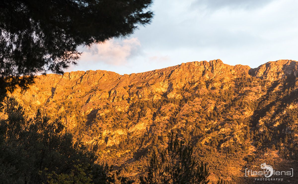 FotoReise Mallorca 2015 009