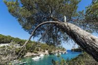 Mallorca 2012 017