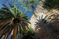 Mallorca 2012 037