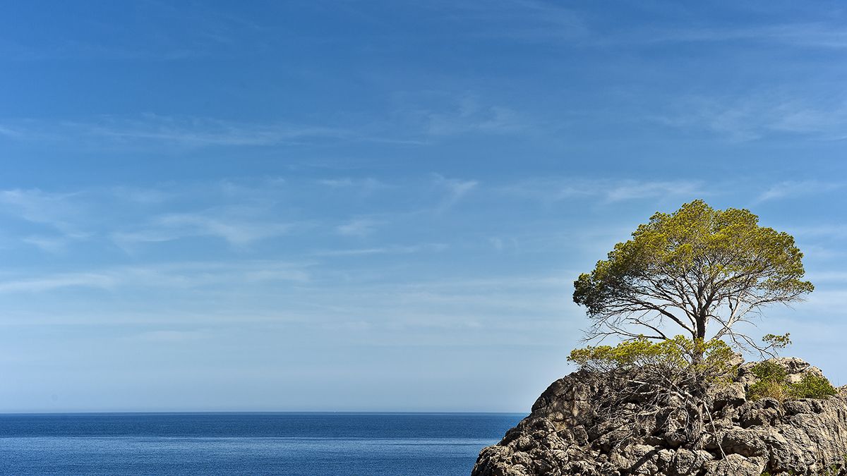 Mallorca 2012 054