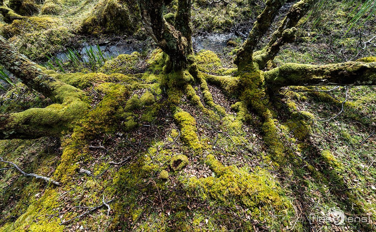 03 Ardnamurchan 075