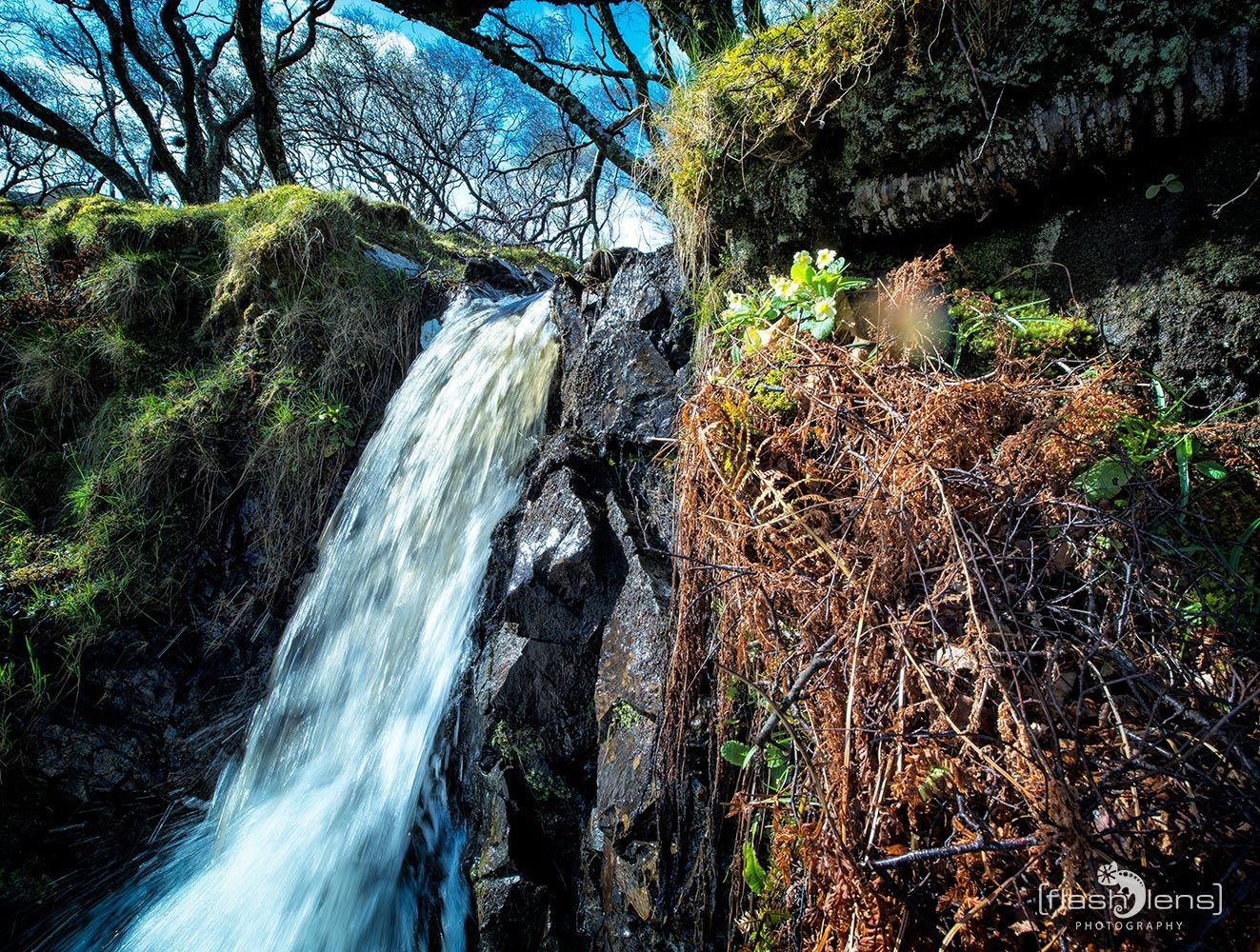 03 Ardnamurchan 115
