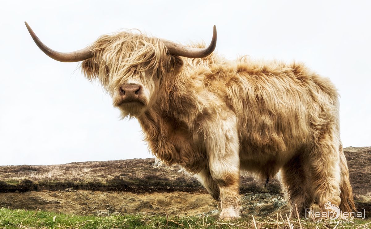03 Highlands 027