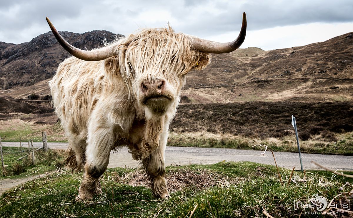 03 Highlands 028