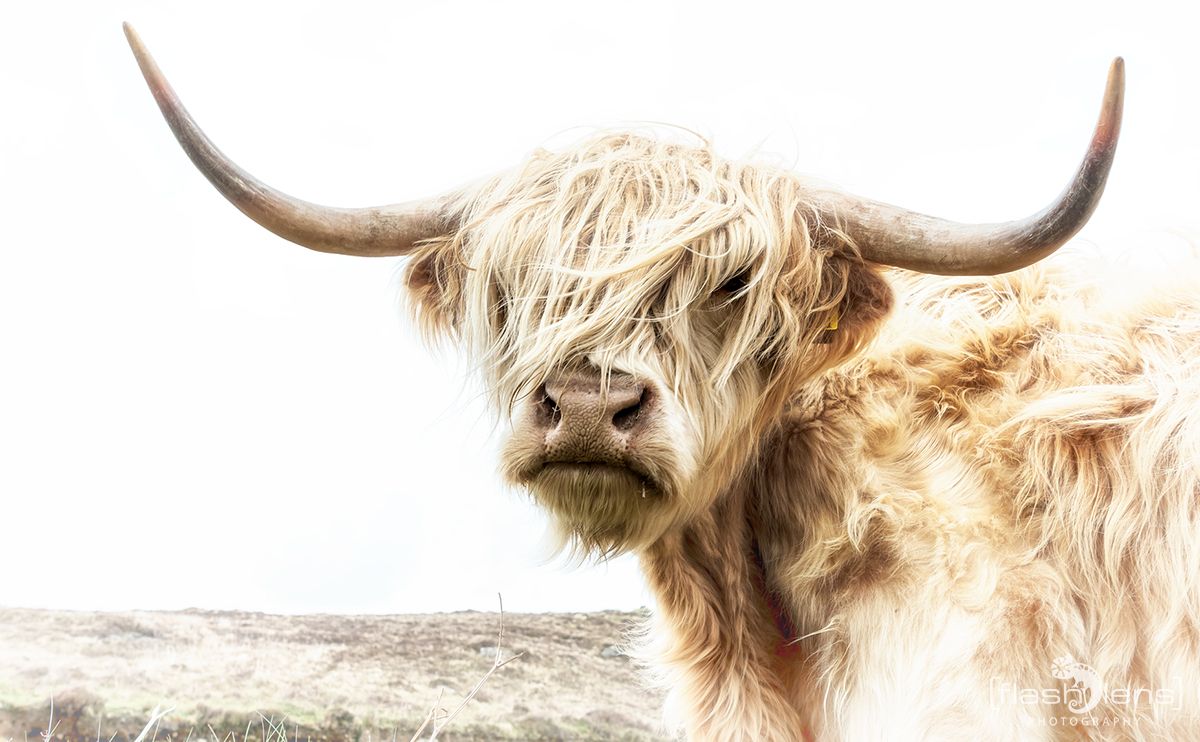 03 Highlands 029