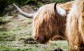 03 Highlands 032