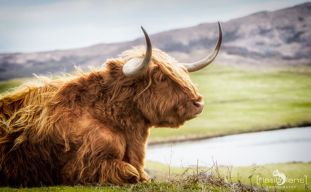 03 Highlands 033