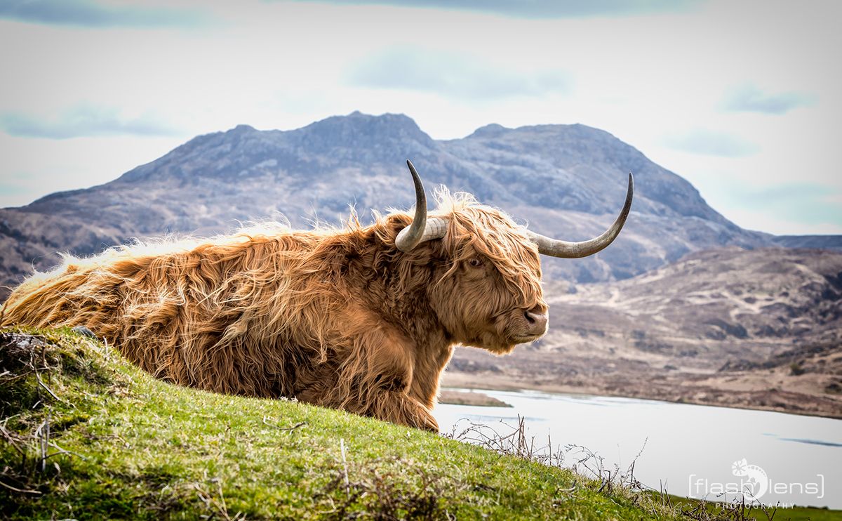 03 Highlands 035