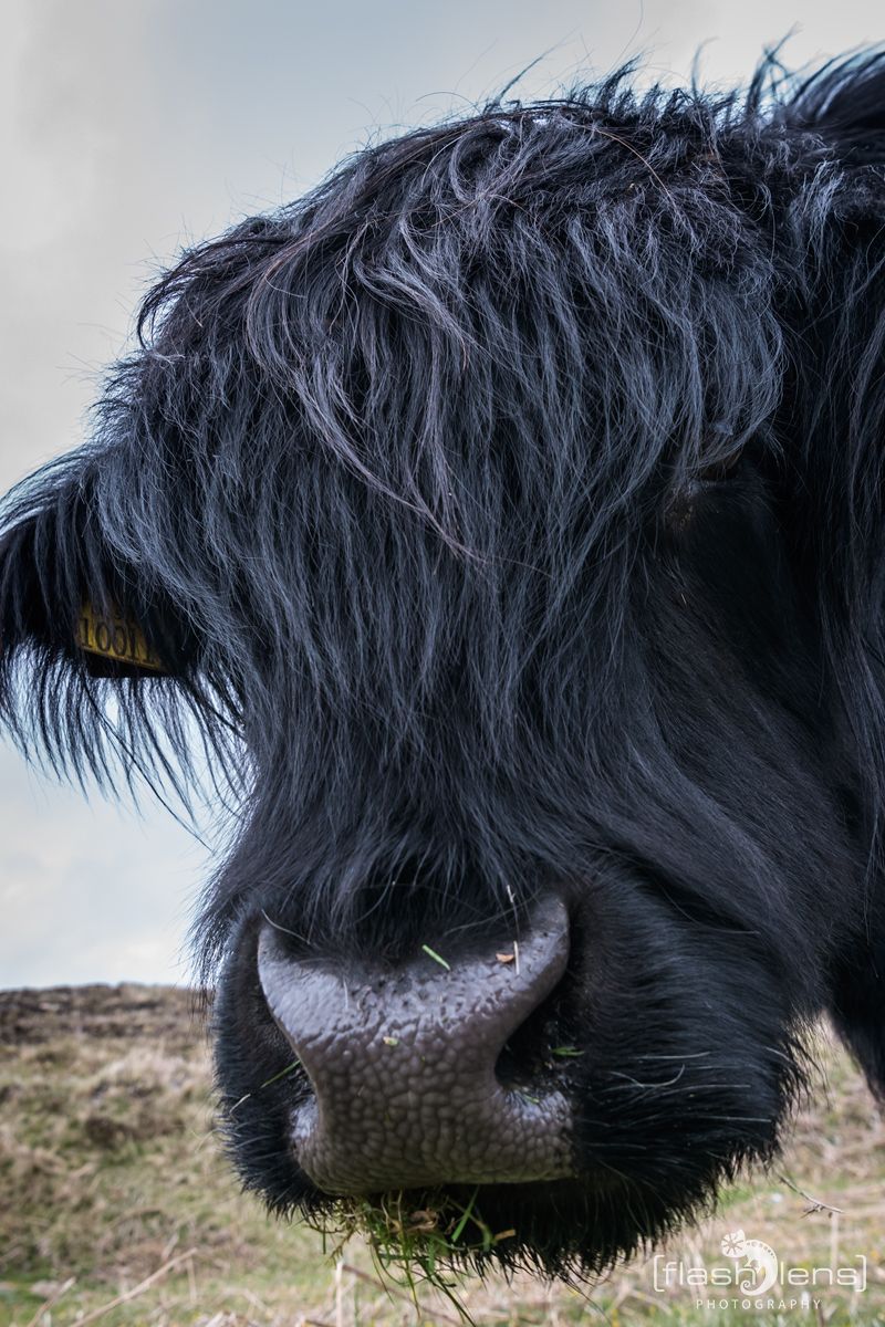 03 Highlands 037