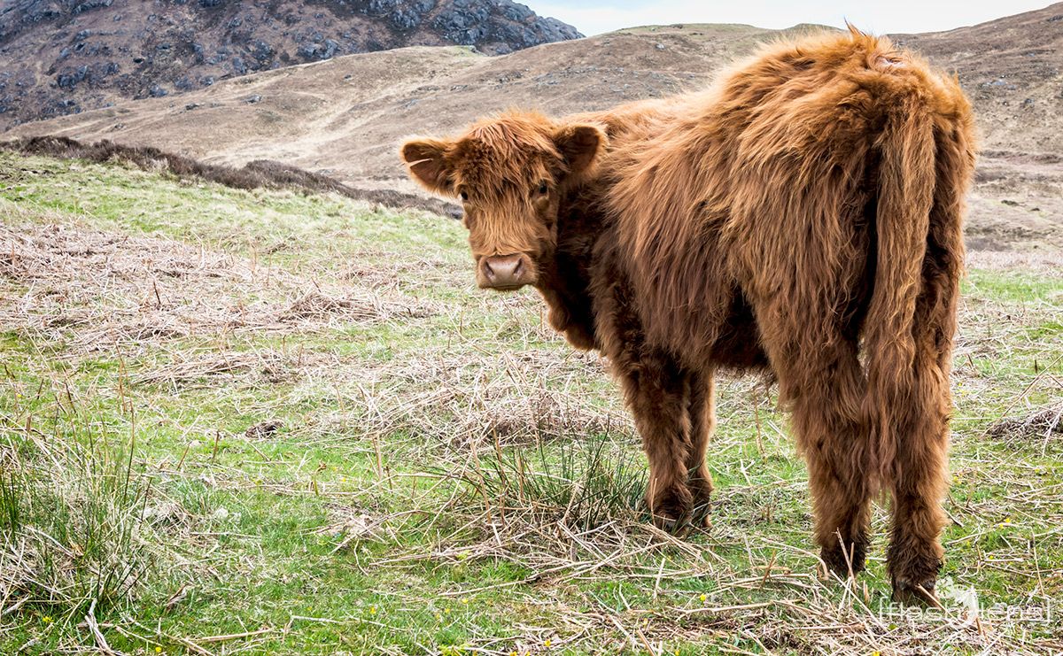 03 Highlands 039