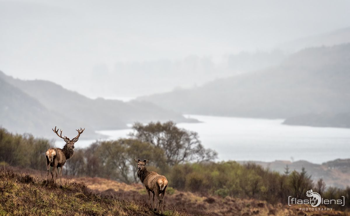 03 Highlands 040