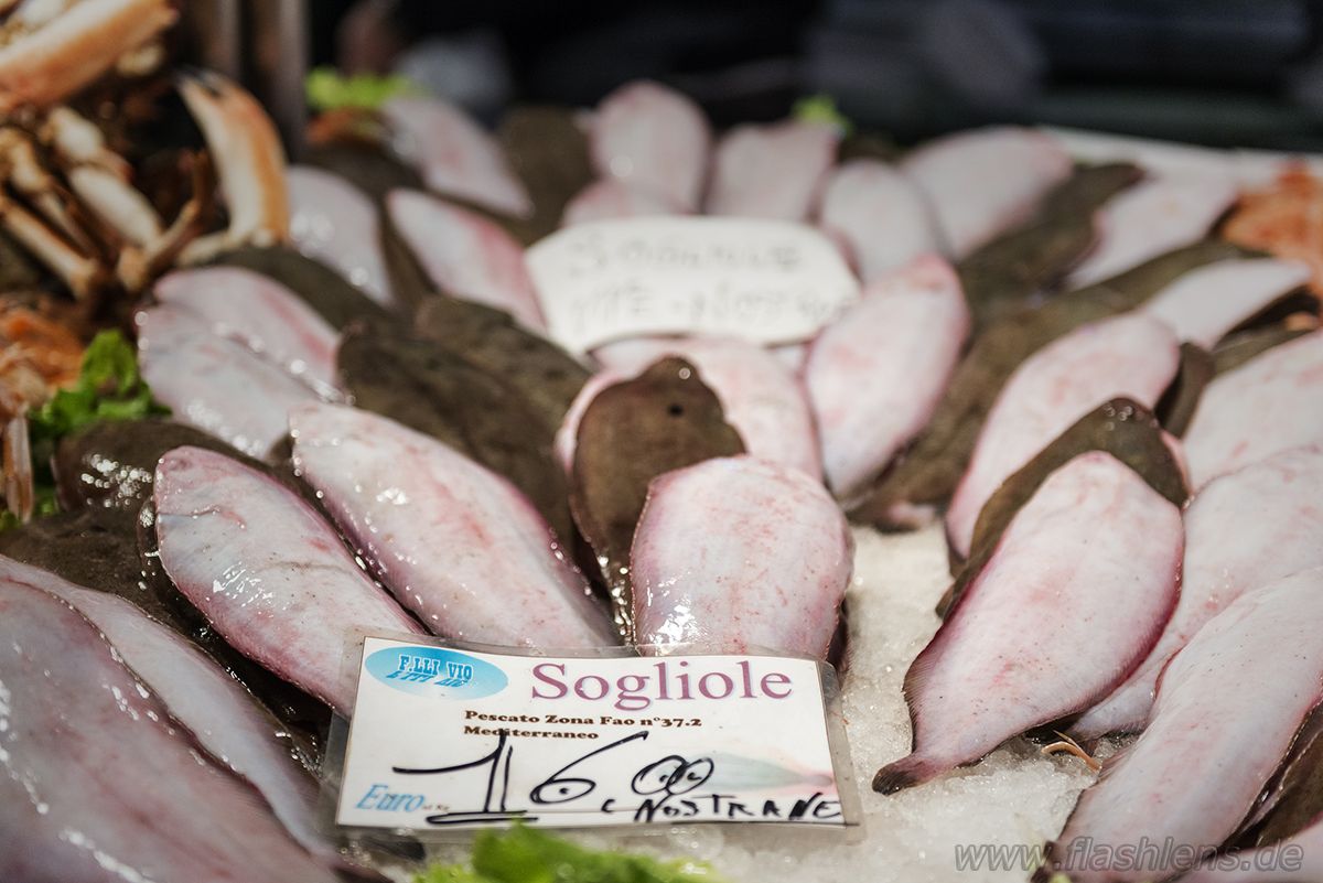 Venedig 2013 031