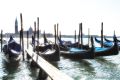 Venedig 2013 060