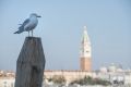 Venedig 2013 080