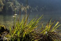 Berchtesgaden 029