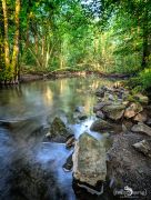 Rund um Schloss Homburg 004