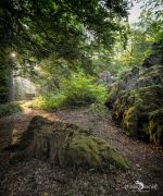 Rund um Schloss Homburg 008