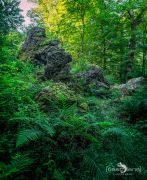 Rund um Schloss Homburg 009