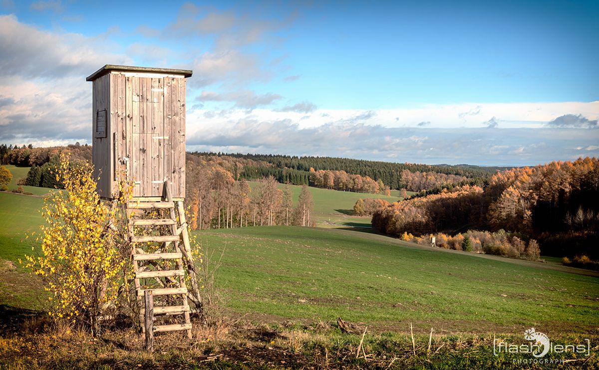Wacholdergebiet 009