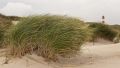 Nordfriesland 2012 037 