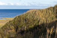 Nordfriesland 2012 043 