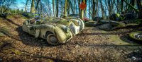 Autoskulptuenpark 003