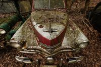 Autoskulptuenpark 017